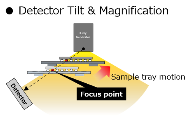 eucentric_function_2